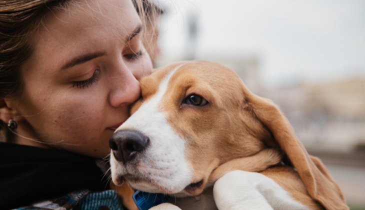 PetFriendly